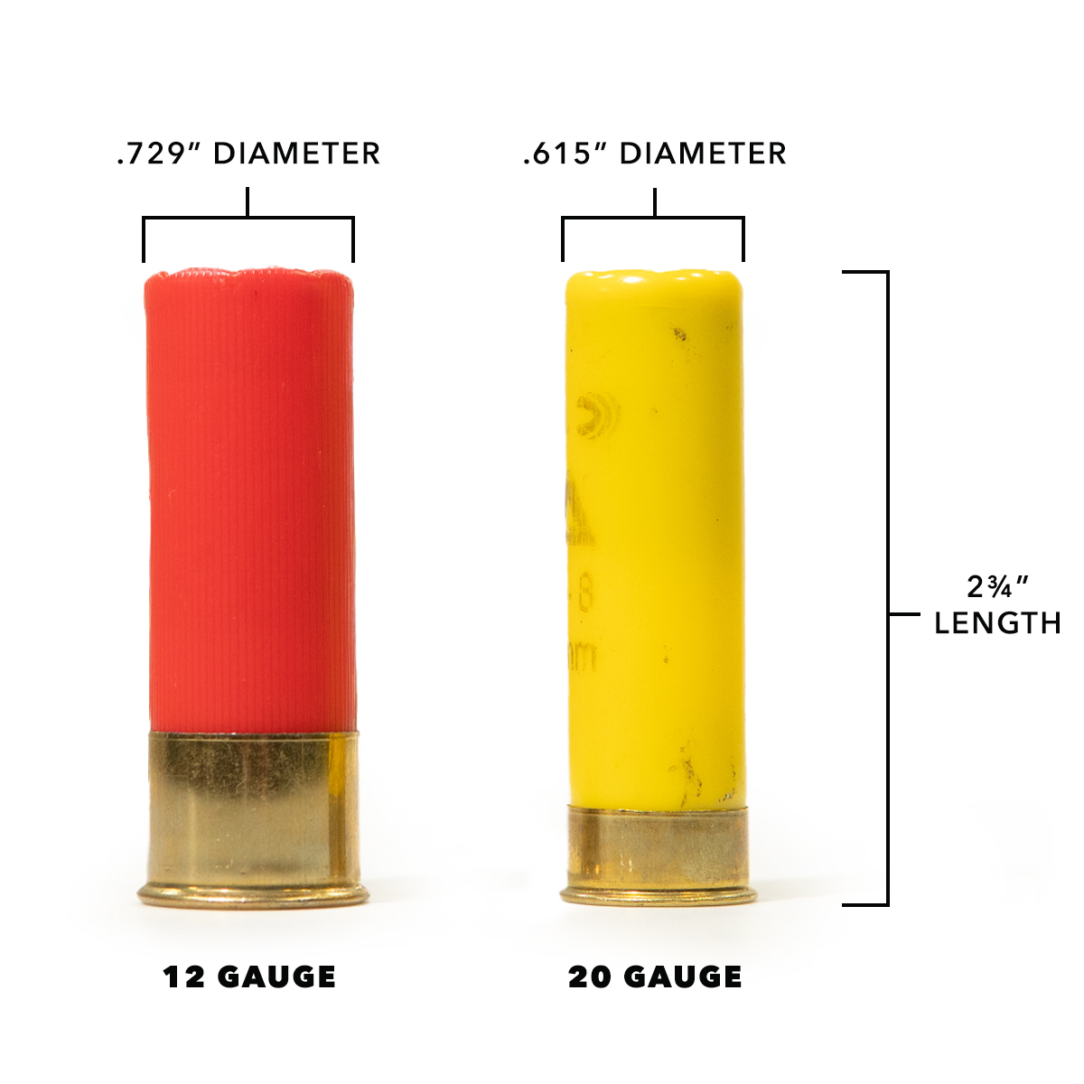 20vs12-cartridgecomparison-1d.jpg