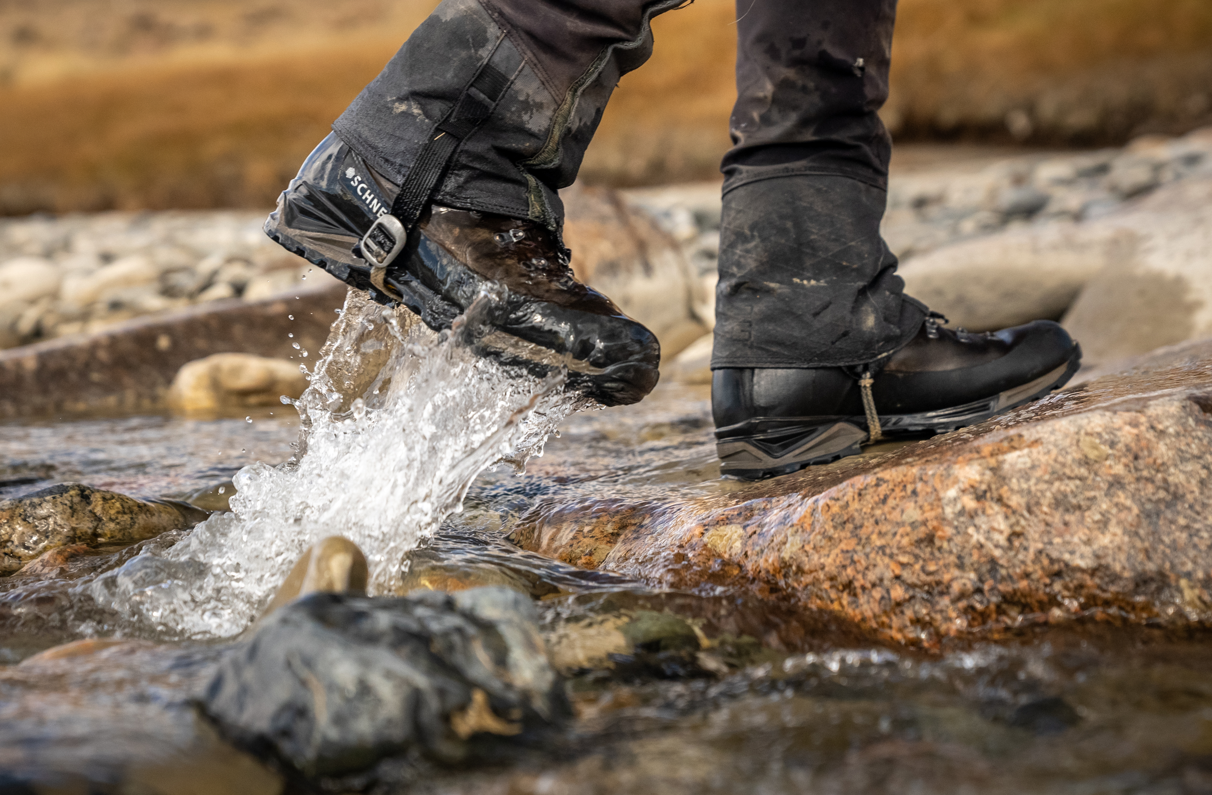 Beartooth boot